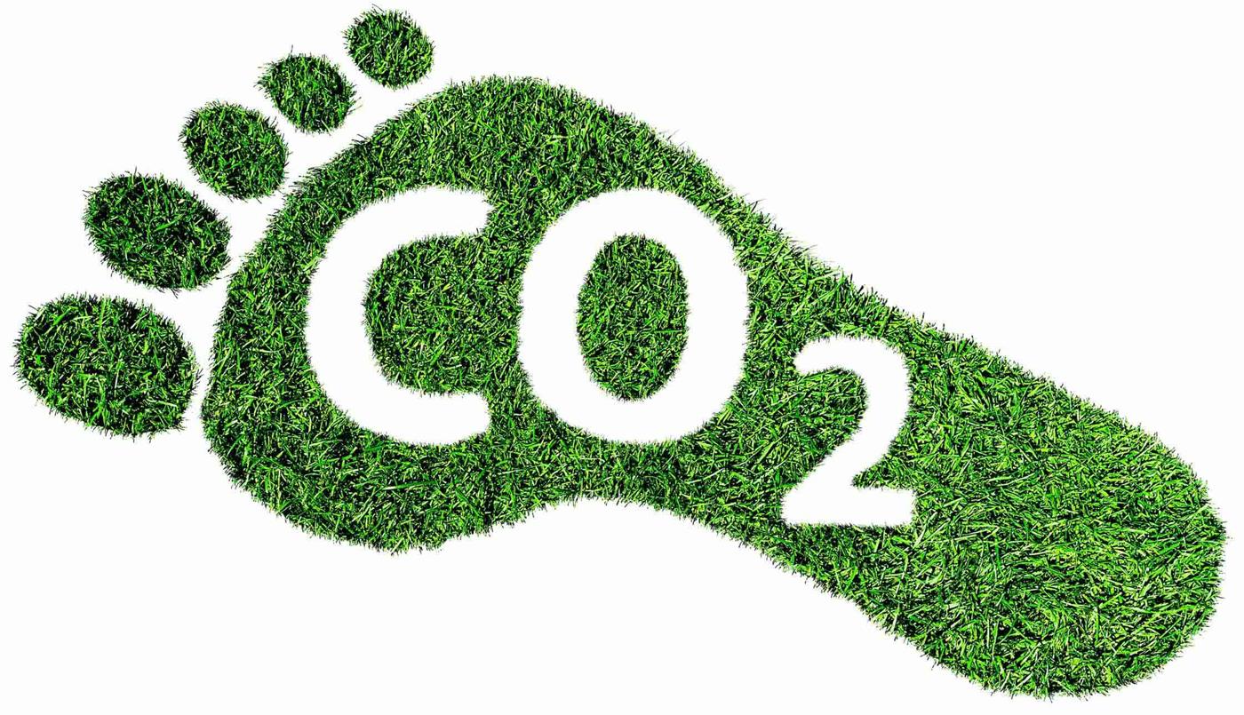 Grass in the shape of a footprint with CO2 cut out of shape