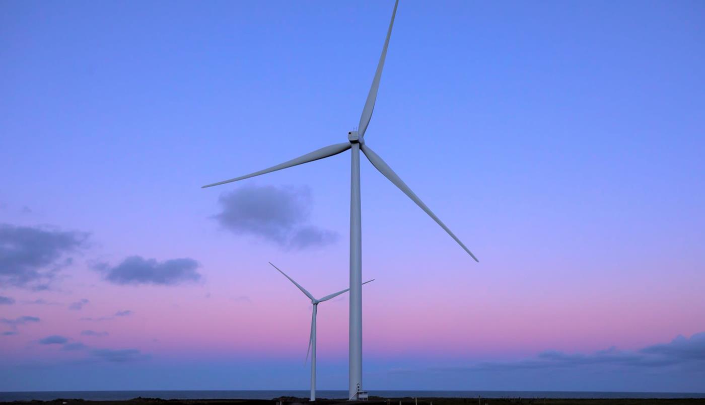 Waipipi wind farm