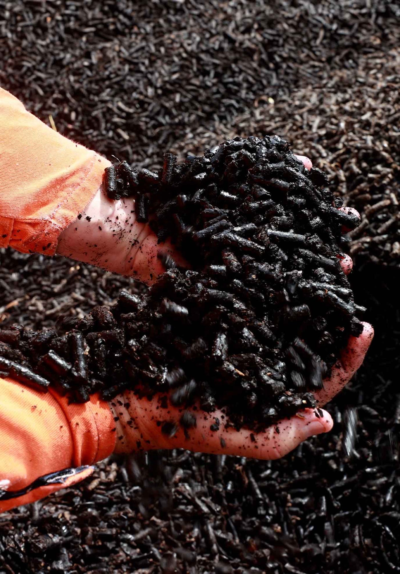 hands holding black biomass pellets