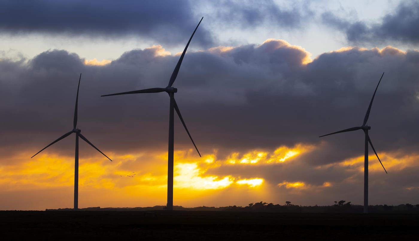 Waipipi wind farm sunset